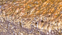 Gold mine process where the gold attaches to the bubbles during the process.
