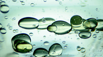 Droplets of oil in water